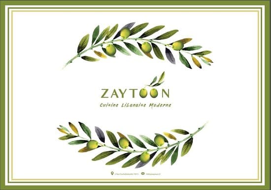 Zaytoon | زيتون